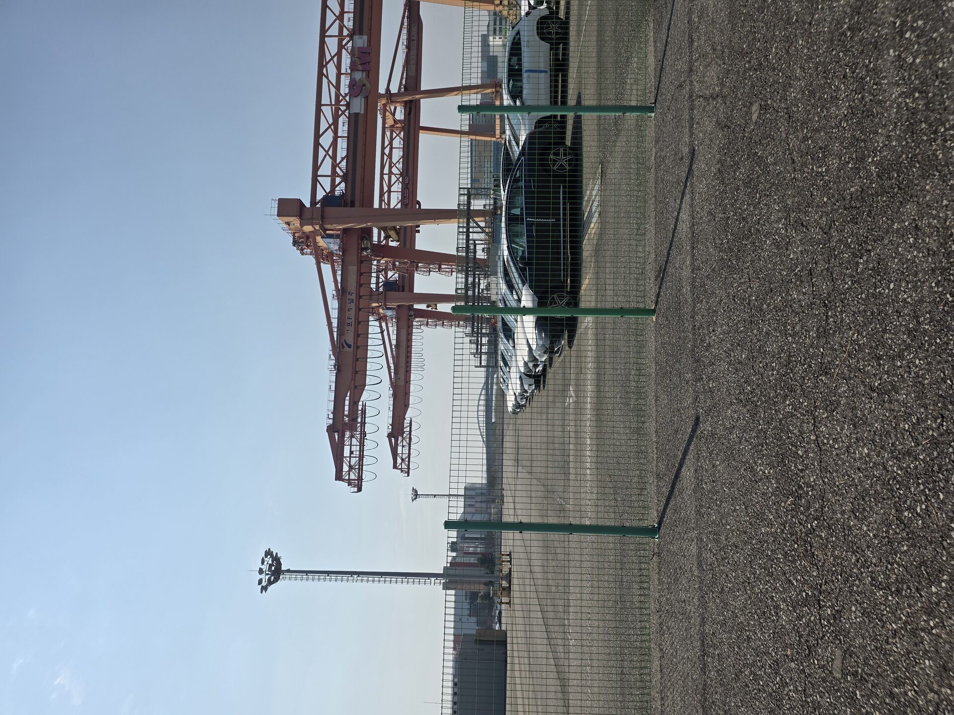 수출 대기 차량